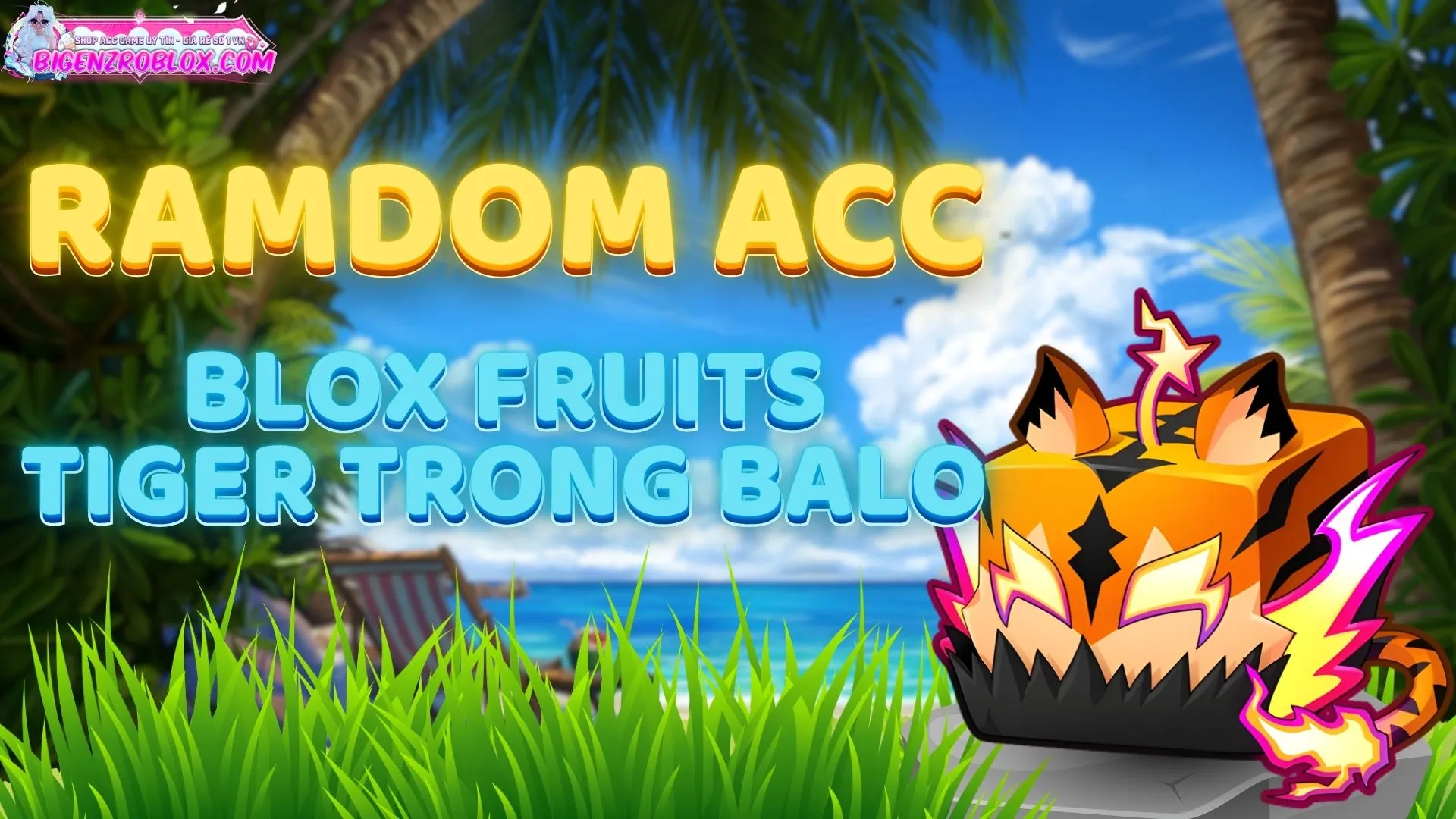 Acc TIGER Rương 30k